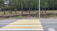 Проход к озеро (июнь 2025).