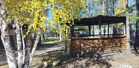 Беседки