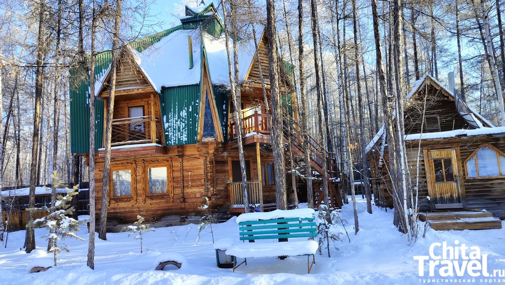 Тимон и Пумба